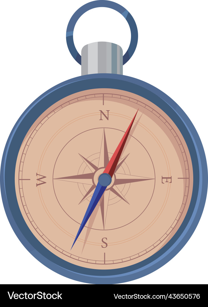 Compass navigation device vector image