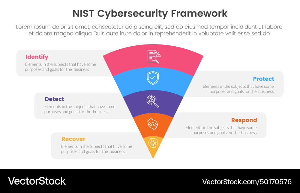 Nist cybersecurity framework infographic 5 point Vector Image