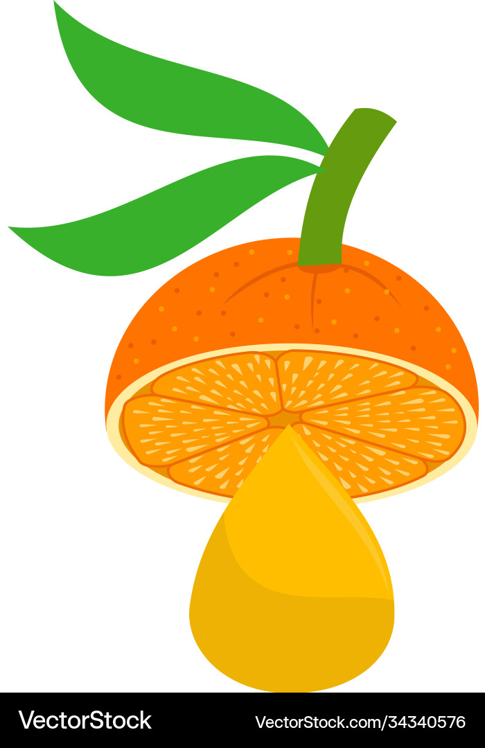 Orange drop design slice part Orange drop design slice part Vector Image