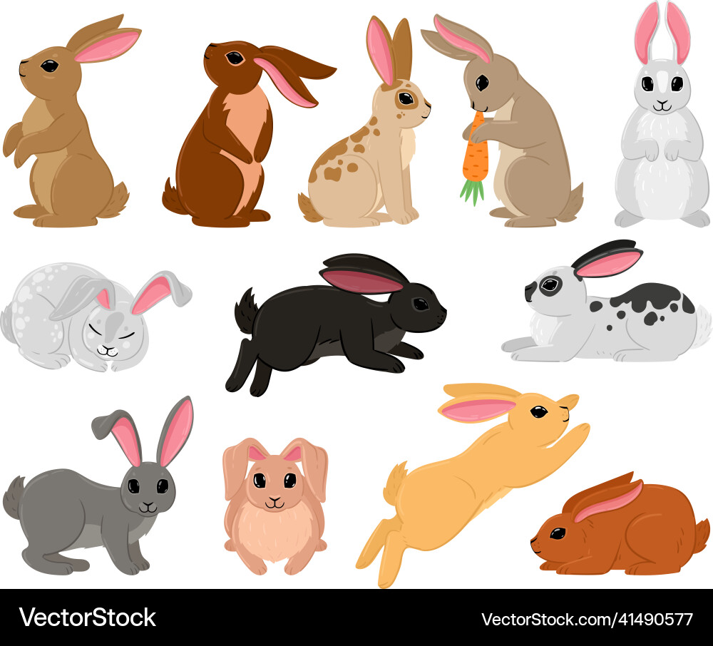 Cartoon cute rabbits spring bunny brown and white Cartoon cute rabbits spring bunny brown and white vector image