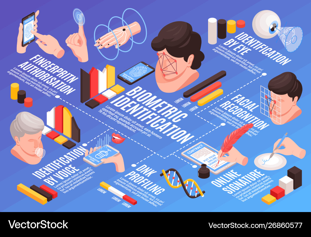 Isometric biometrics infographic flowchart vector image