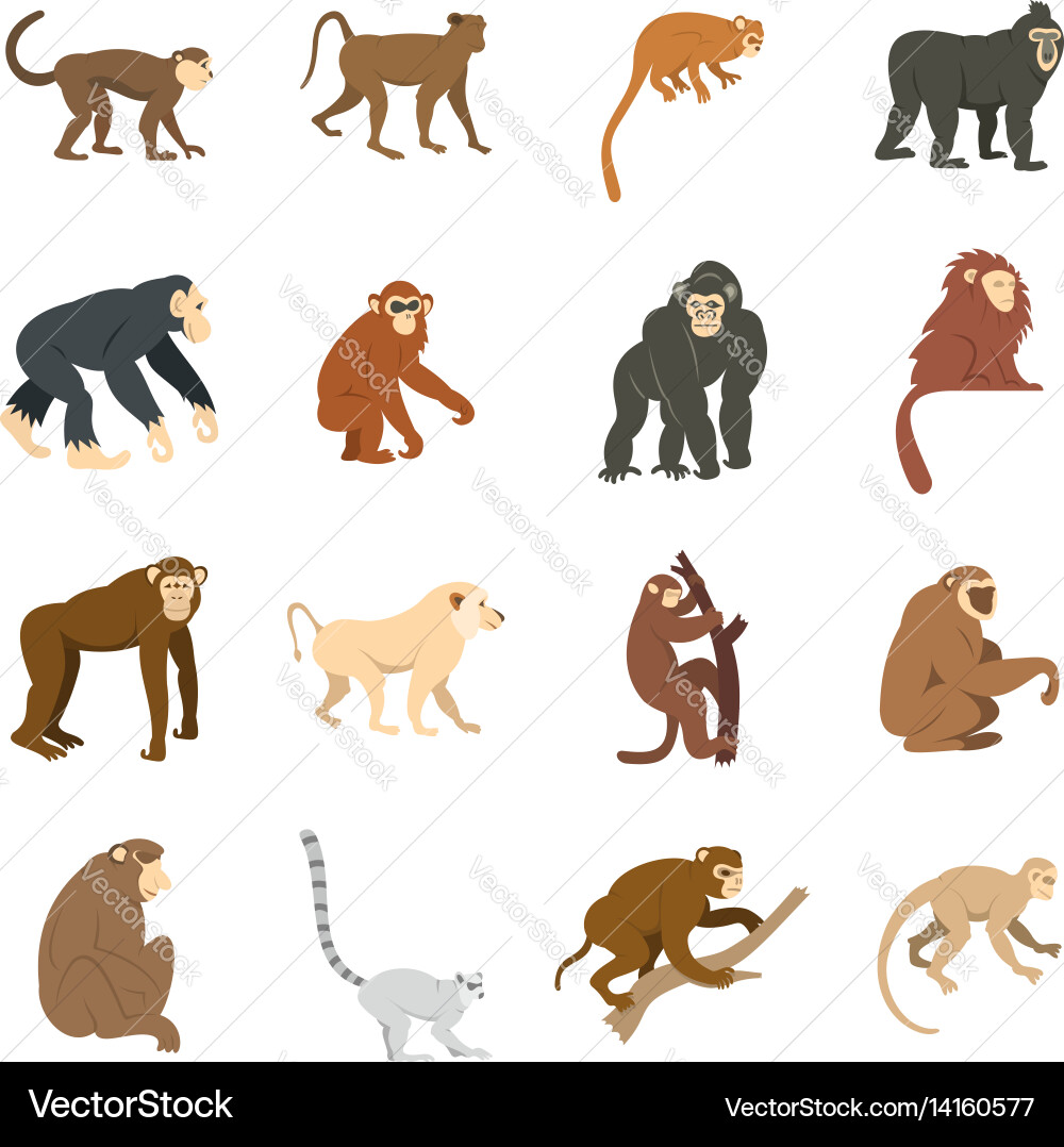 Monkey types icons set in flat style Vector Image