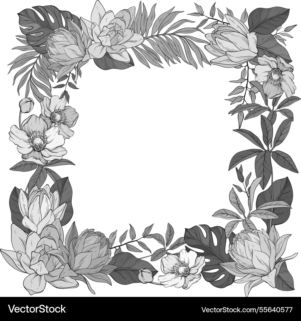 Monochrome floral elegant square frame adorned Monochrome floral elegant square frame adorned vector image