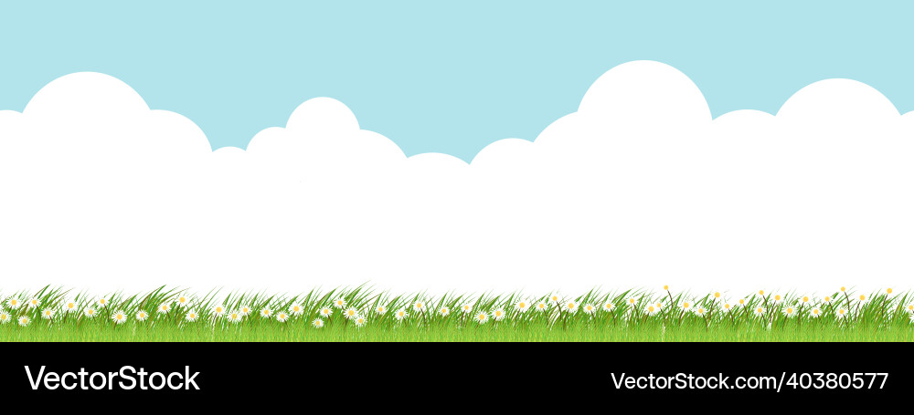 Spring Meadow Pattern vector image
