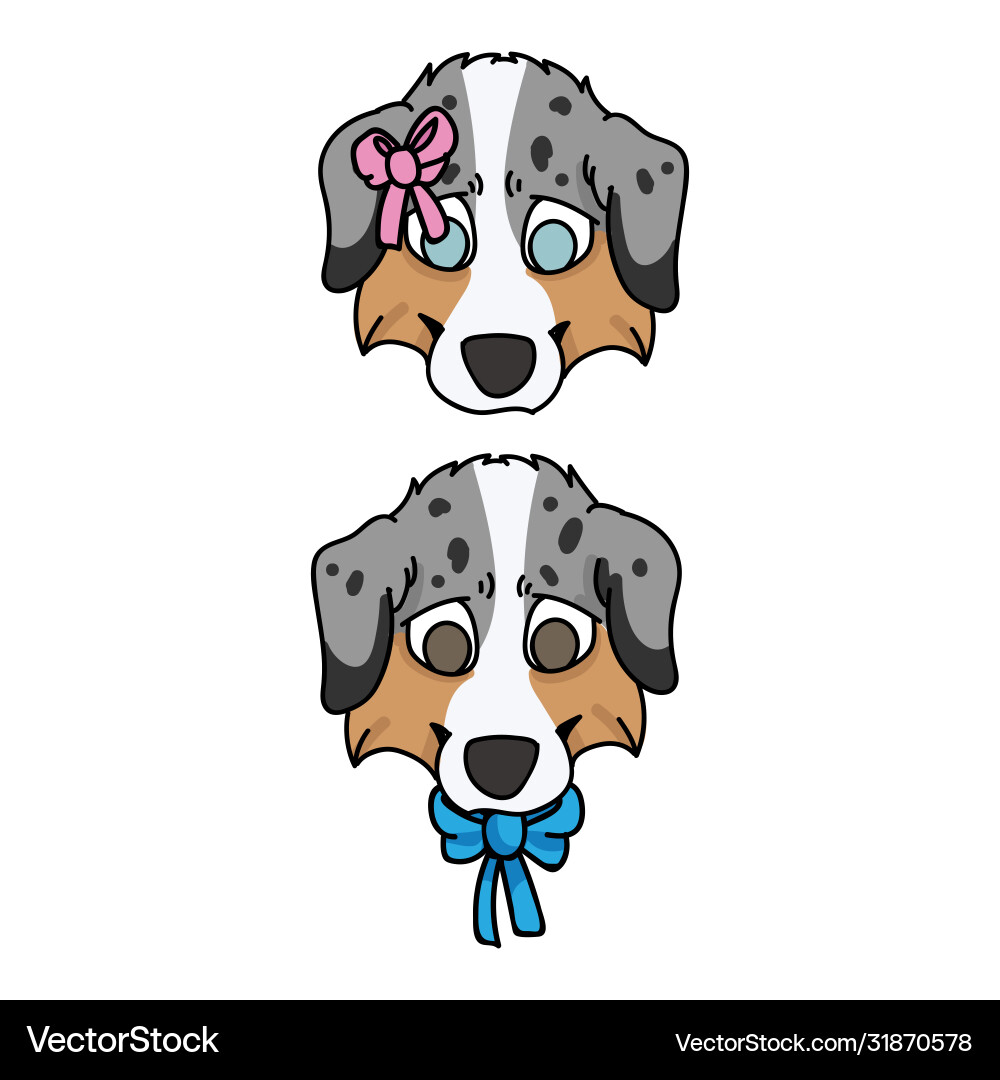 Cute cartoon australian shepherd puppy face boy Cute cartoon australian shepherd puppy face boy vector image