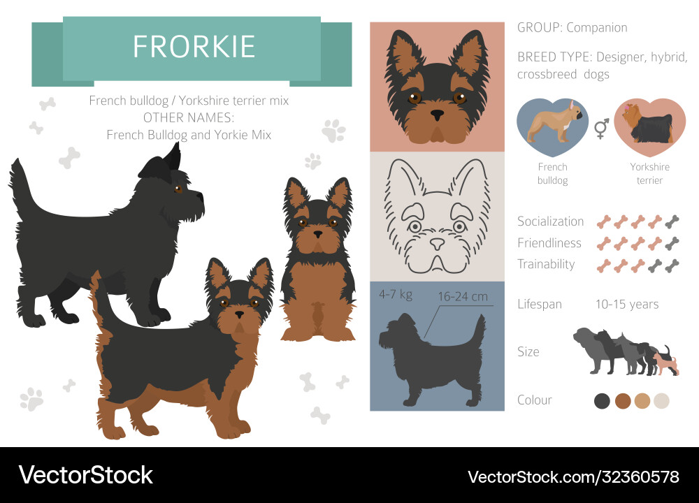 Designer Dogs Crossbreed Hybrid Mix Pooches Designer Dogs Crossbreed Hybrid Mix Pooches vektorbild