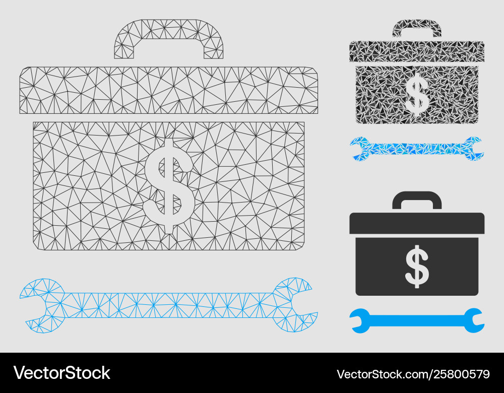 Dollar toolbox mesh network model Vector Image