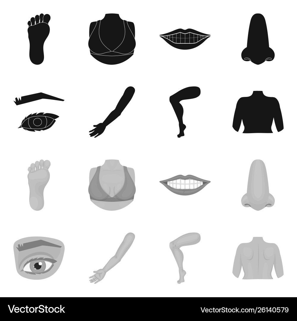 Isolated object body and part icon set Isolated object body and part icon set vector image