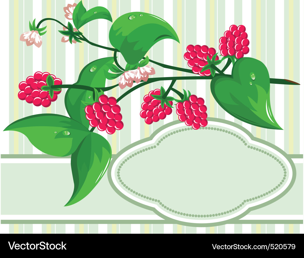 Sprig raspberry Vector Image