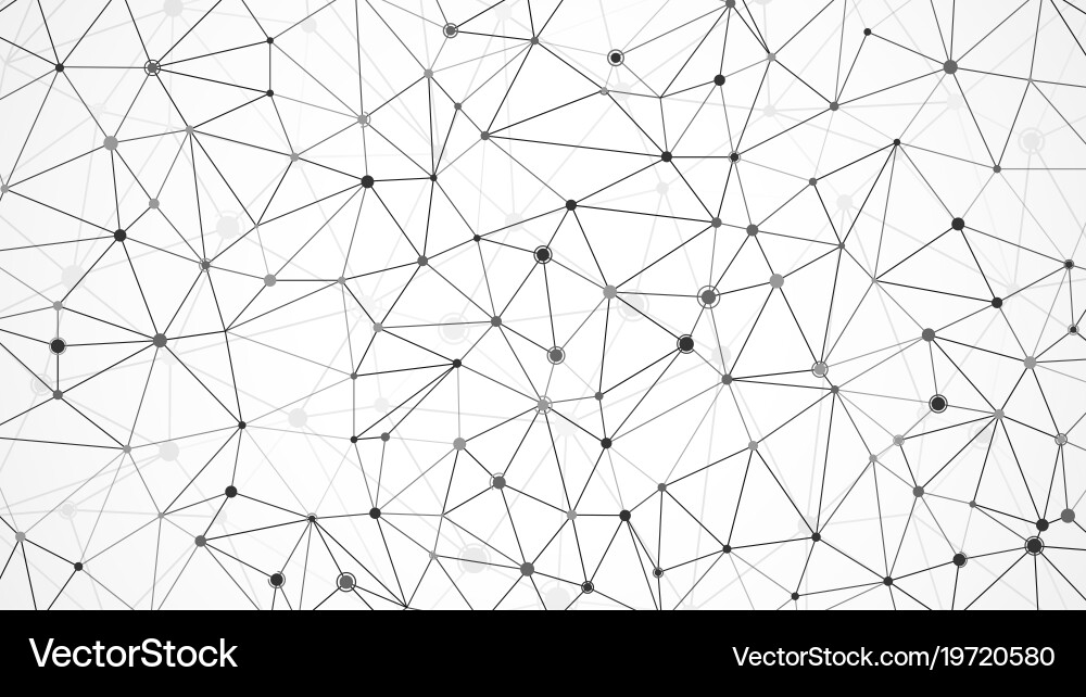 Data Network Structure vector image