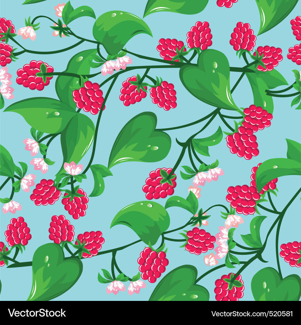 Raspberry seamless Vector Image
