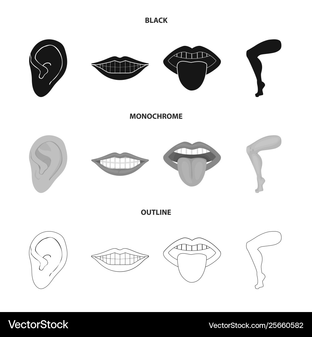 Isolated object body and part icon set Isolated object body and part icon set vector image