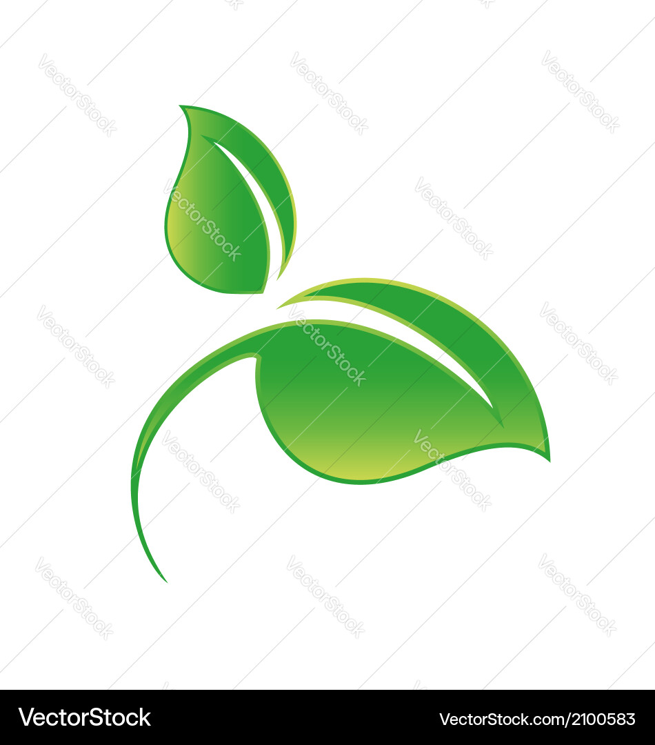 Green leaf Royalty Free Vector Image - VectorStock