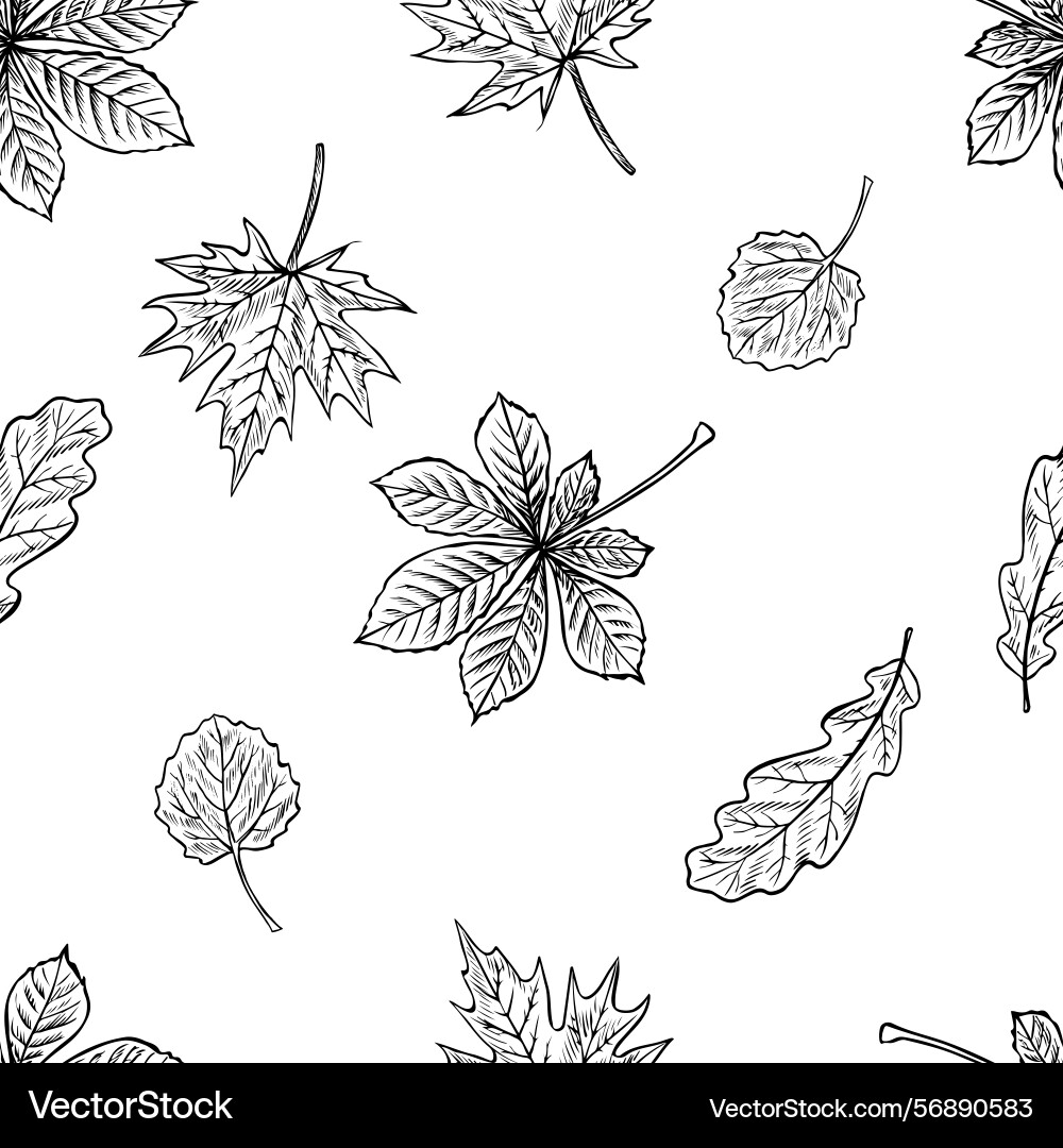 Seamless pattern of leaves from different trees Seamless pattern of leaves from different trees vector image