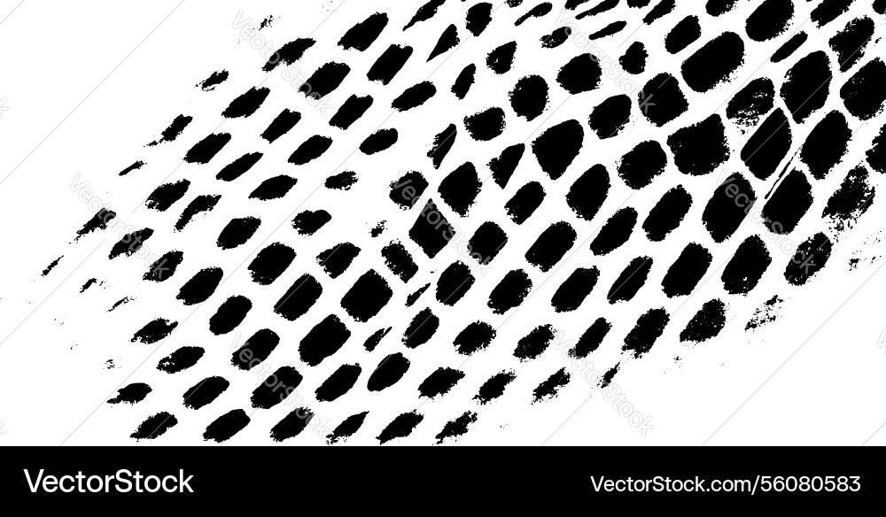 Snakeskin texture pattern with reptile scales vector image