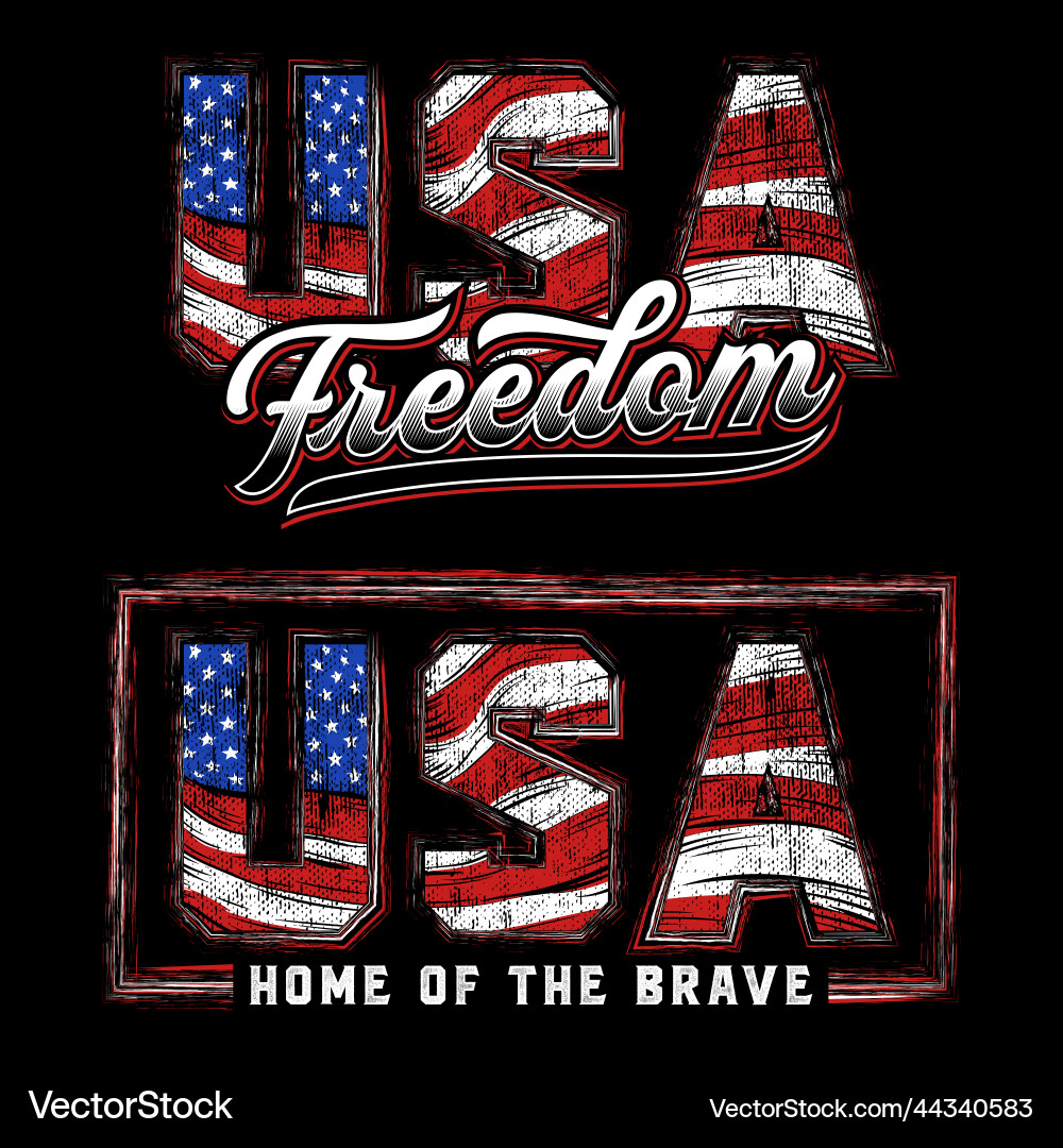 USA Flag Set - Patriotic Design Vector Image