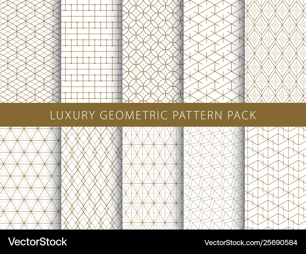 Intricate Geometric Pattern Set vector image