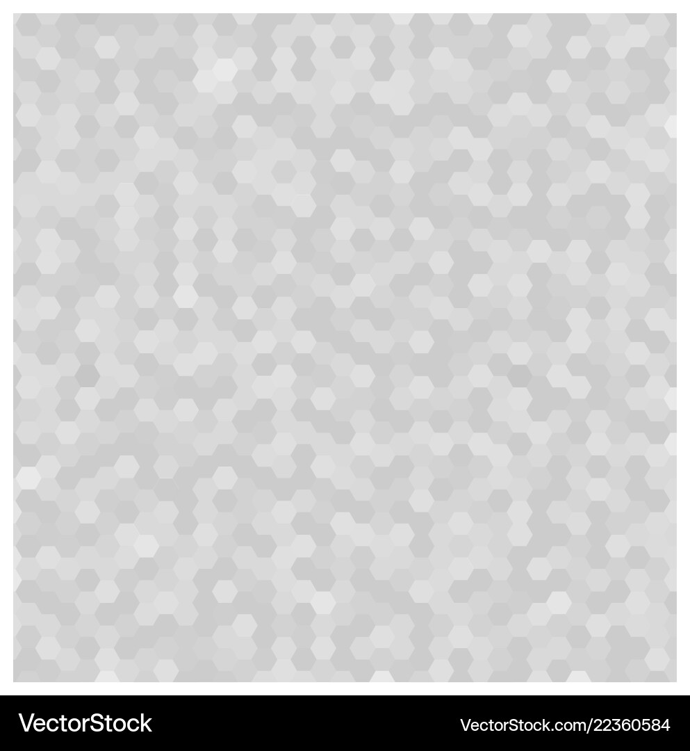 Modern White & Gray Hexagonal Pattern vector image