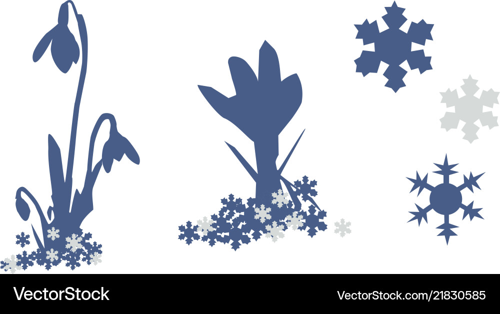 Snowdrop and snowflakes group of objects isolated Snowdrop and snowflakes group of objects isolated vector image