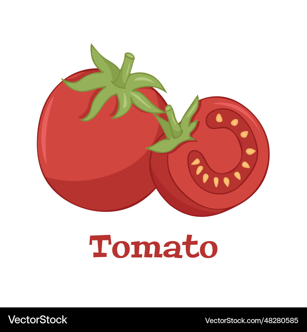 Tomato icon in flat style isolated object Tomato icon in flat style isolated object Vector Image