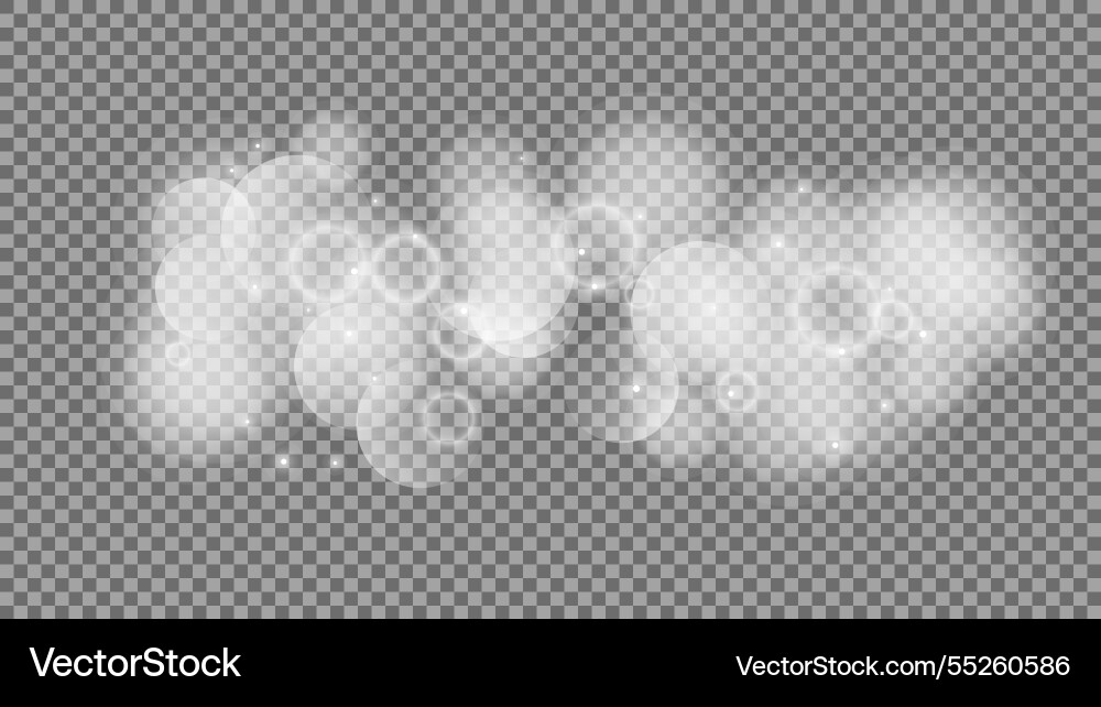 Bokeh circles on transparent background Bokeh circles on transparent background vector image