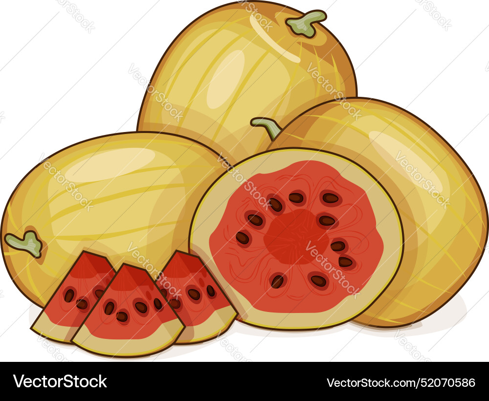 Chopped faerie watermelon clip art Chopped faerie watermelon clip art vector image
