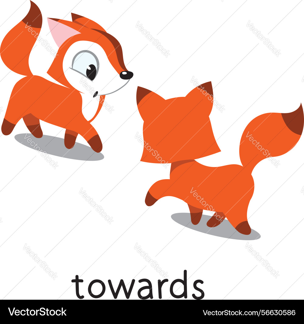 Preposition of movement foxes are moving towards Vector Image