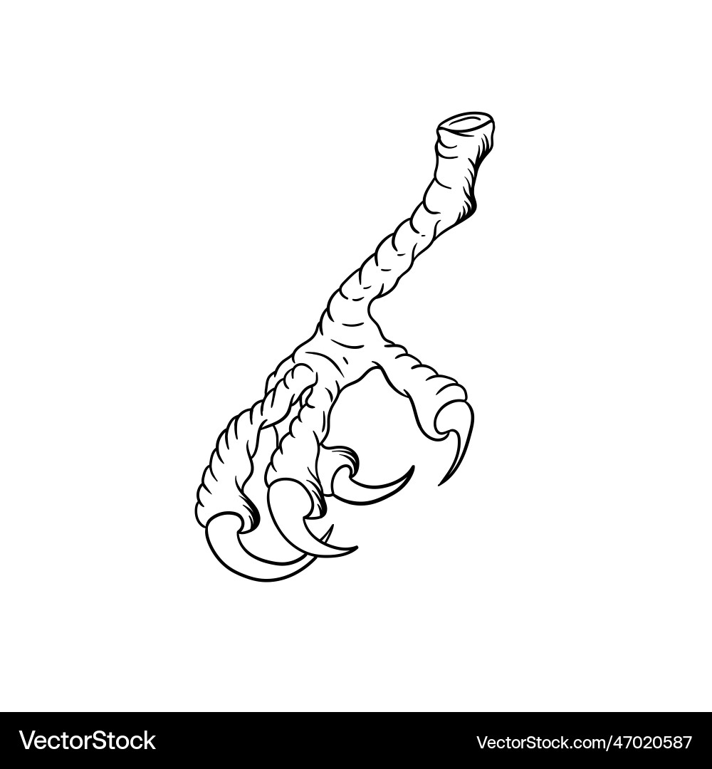 Predatory Bird Claws - Outline Vector Image