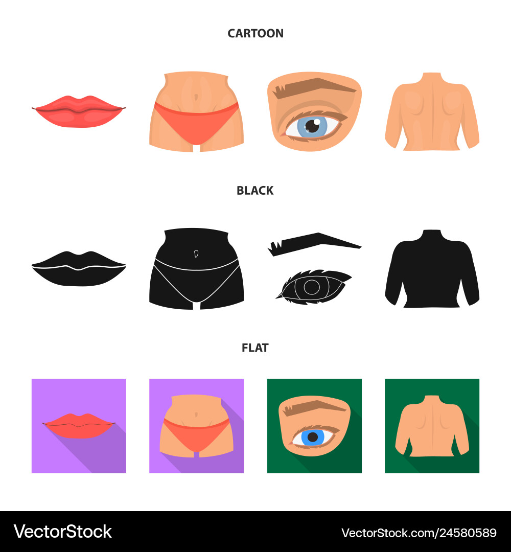 Isolated object of body and part icon collection Isolated object of body and part icon collection vector image