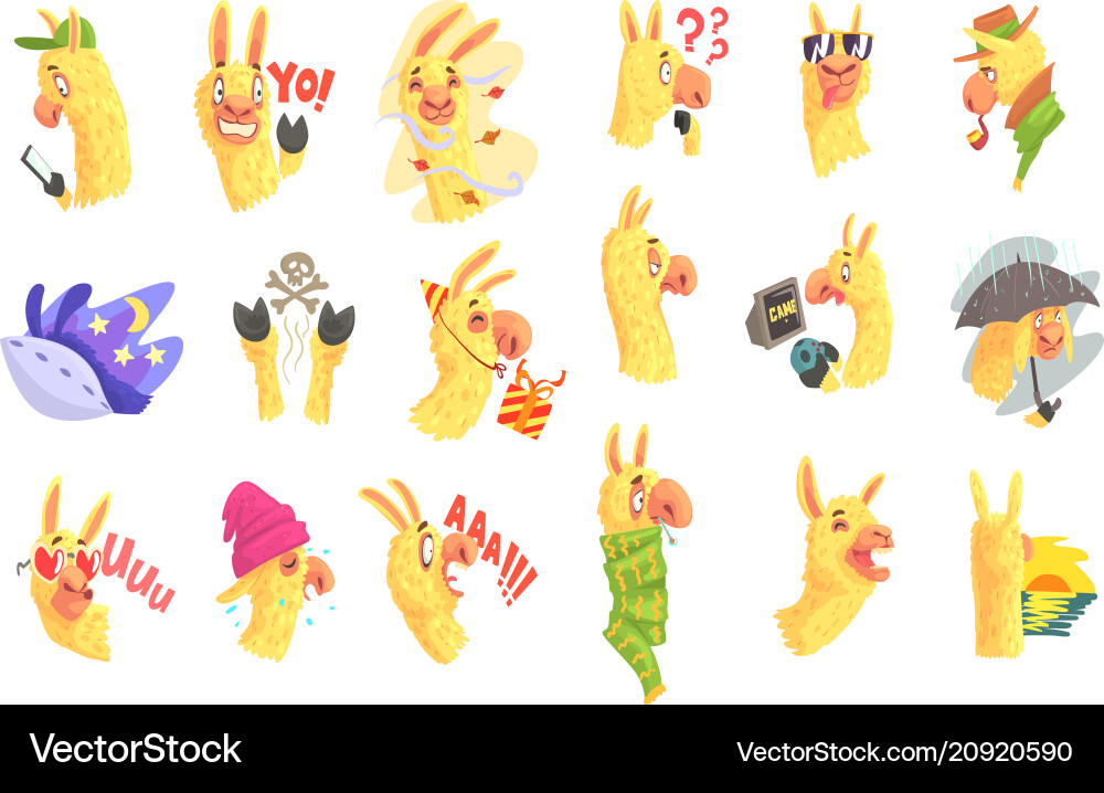 Colorful Alpaca Characters vector image