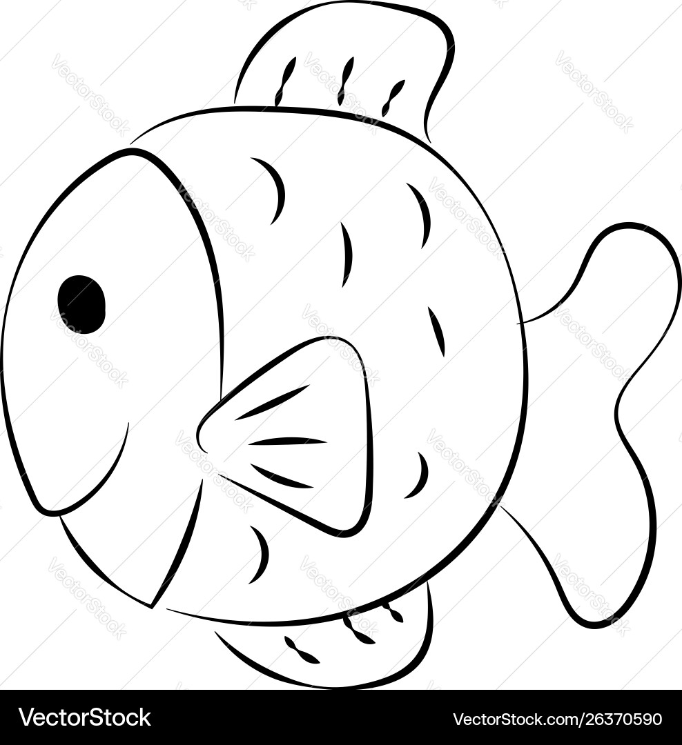 Fat fish drawing on white background vector image