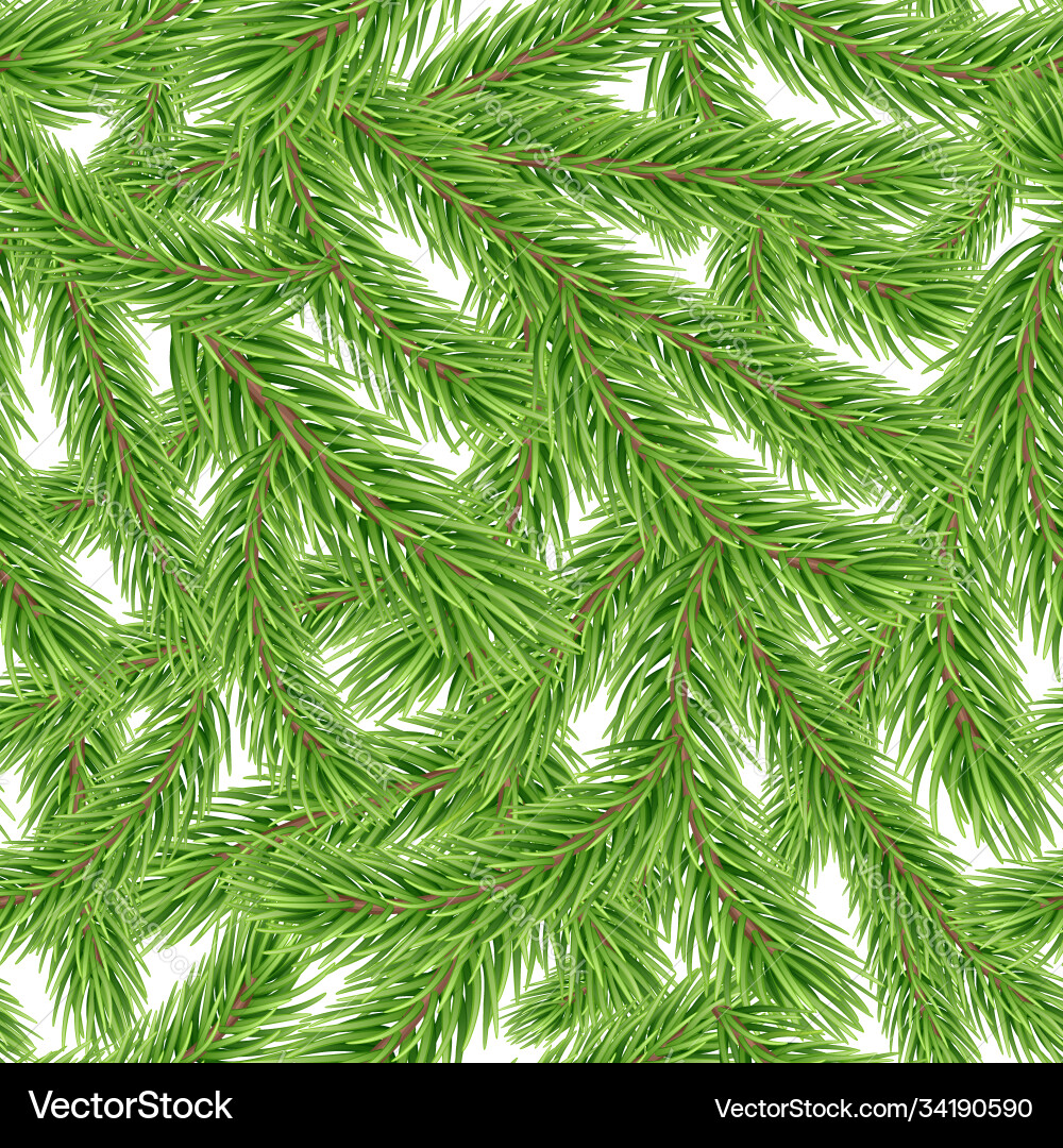 Seamless pattern with fir tree branch Seamless pattern with fir tree branch vector image