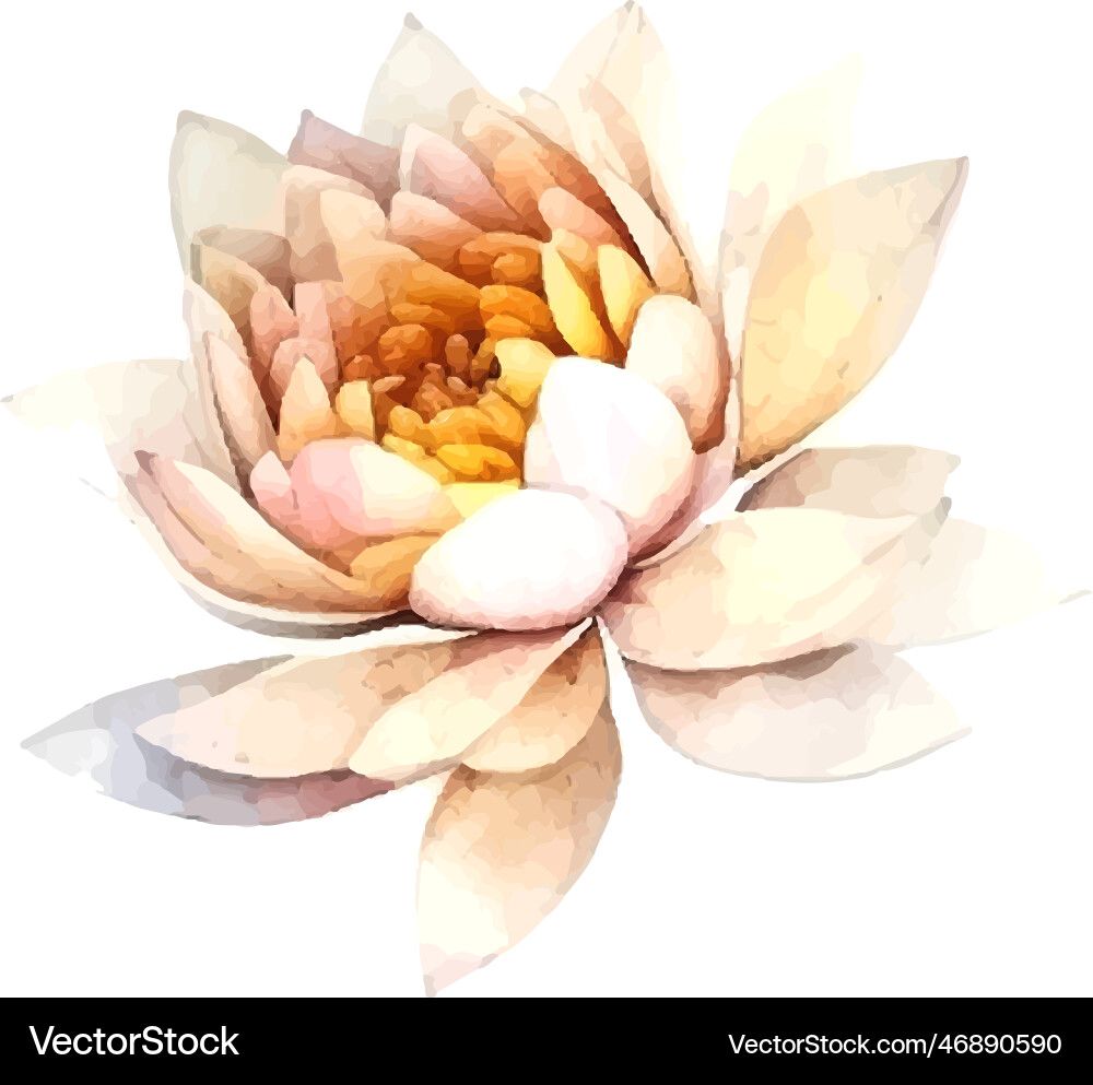 Wasserfarbe weiß Lotus Blume isoliert Wasserfarbe weiß Lotus Blume isoliert vektorbild