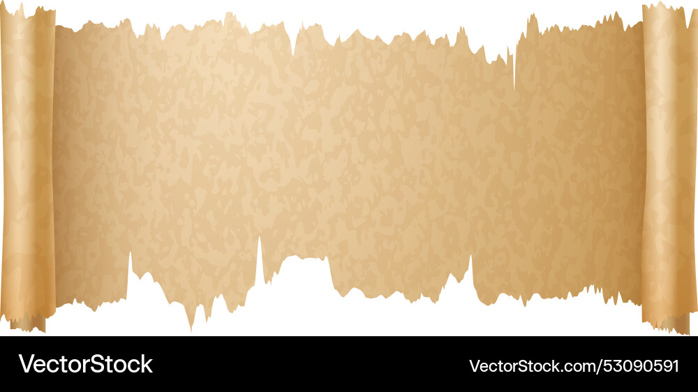 Aged paper scroll realistic ripped edges texture Aged paper scroll realistic ripped edges texture vector image