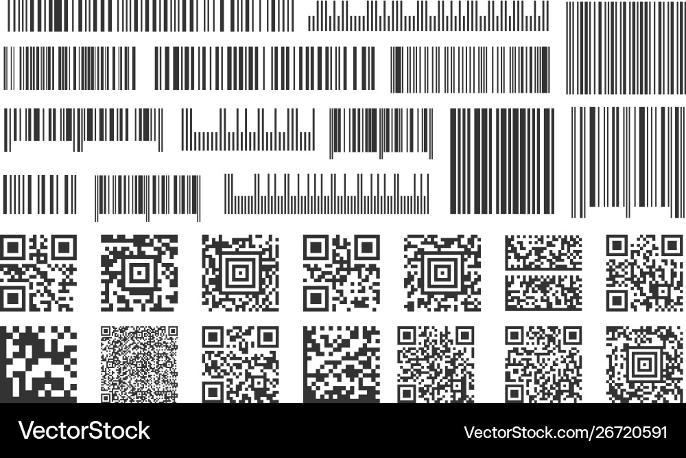 Barcode Collection - Retail & Inventory Vector Image