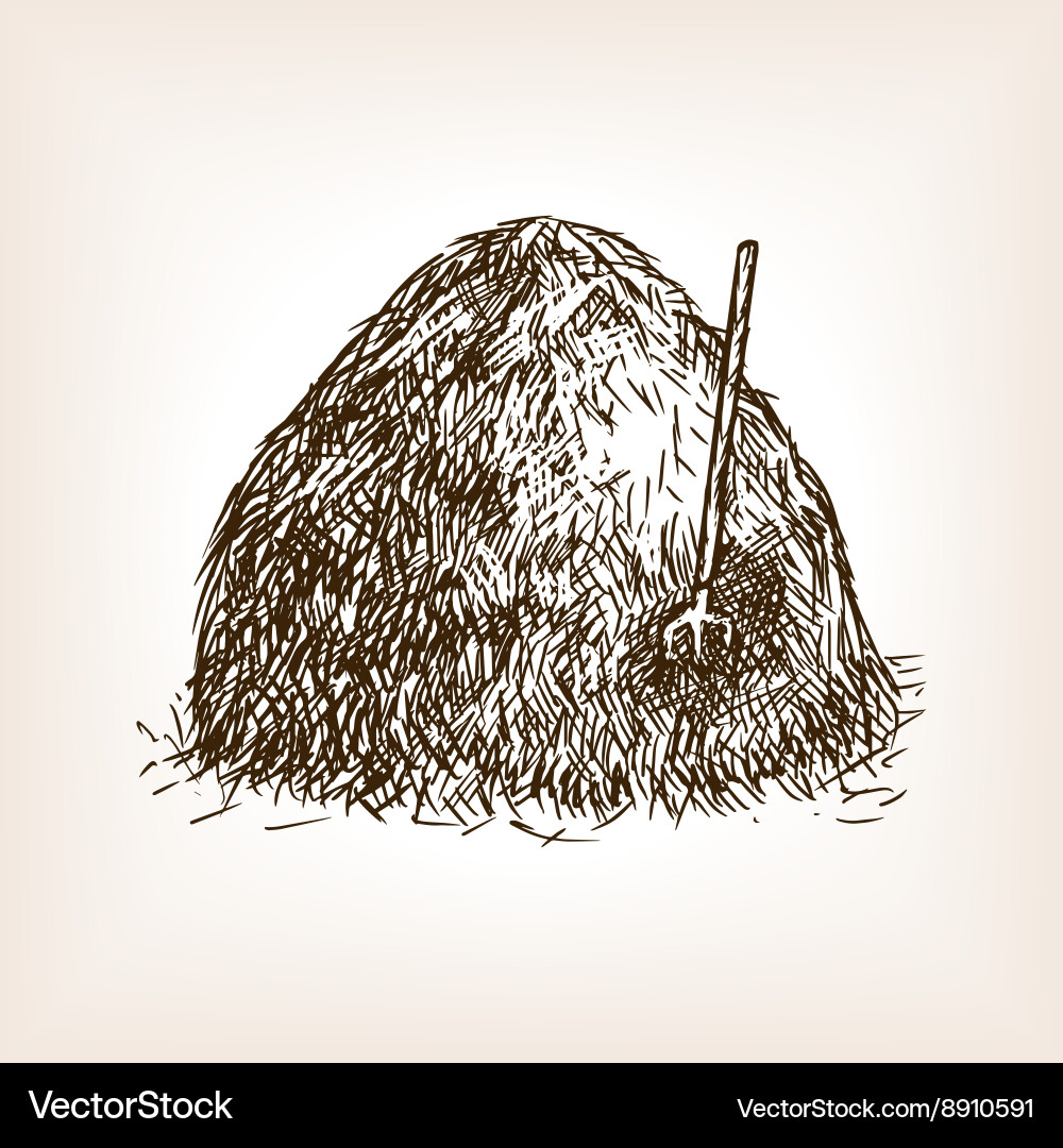 Hay Stack Sketch Pattern Vector Image