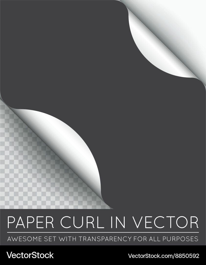 Paper page curl with shadow isolated Vector Image