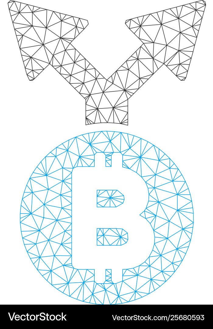 Bitcoin fork mesh network model vector image