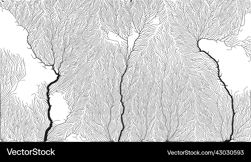 Growth pattern generative branching structure Vector Image