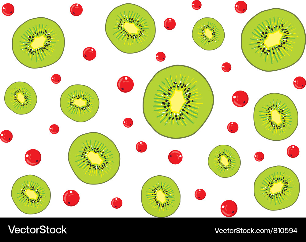 Background kiwi Vector Image