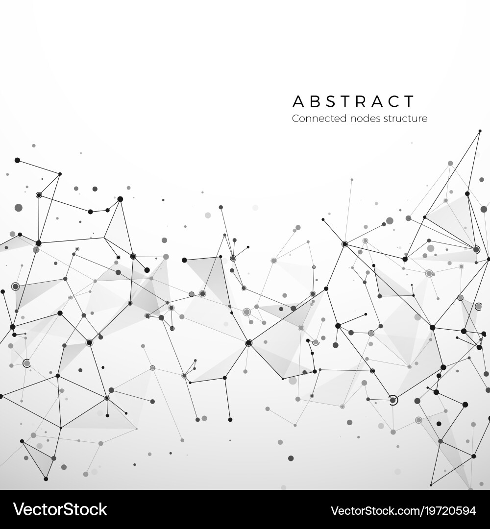 Digital Network Structure vector image