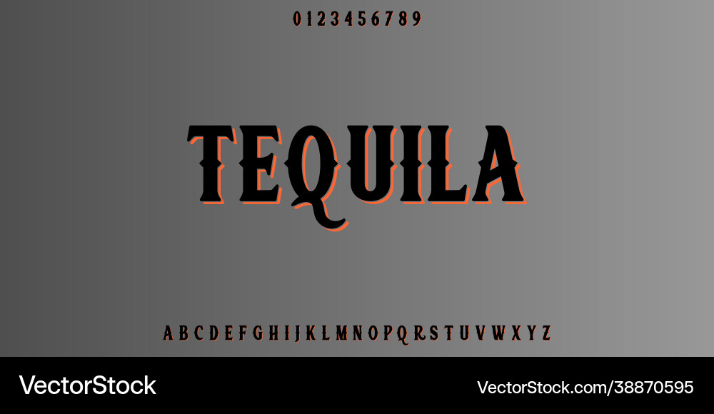 Font alphabet script typeface handcrafted Font alphabet script typeface handcrafted Vector Image