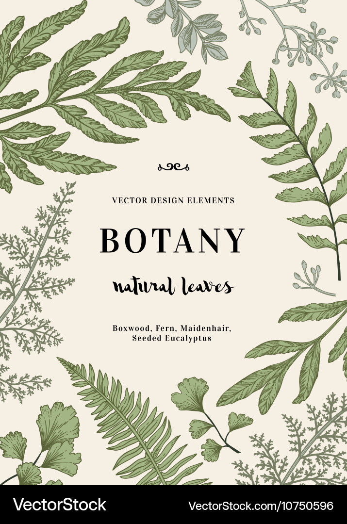 Botanical Leaves Background Royalty Free Vector Image