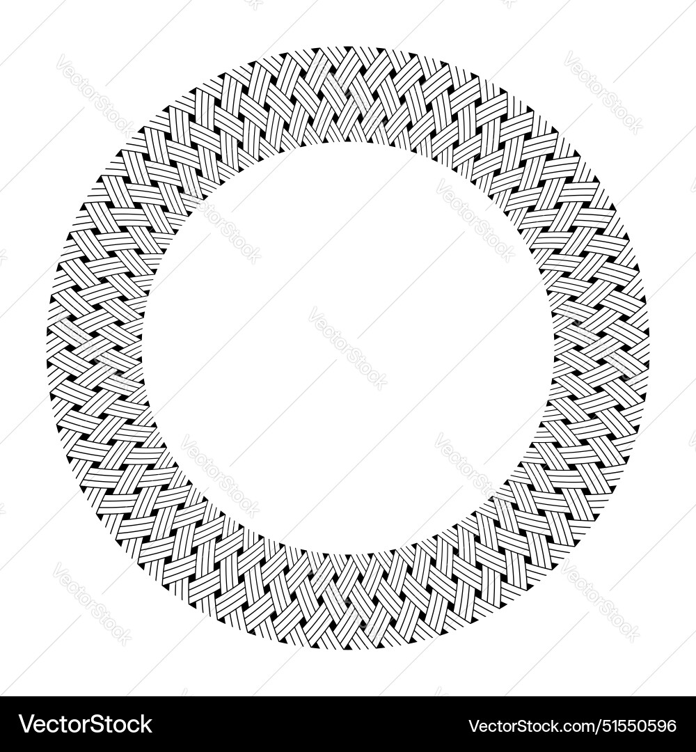 Intricate Radial Circle Pattern vector image