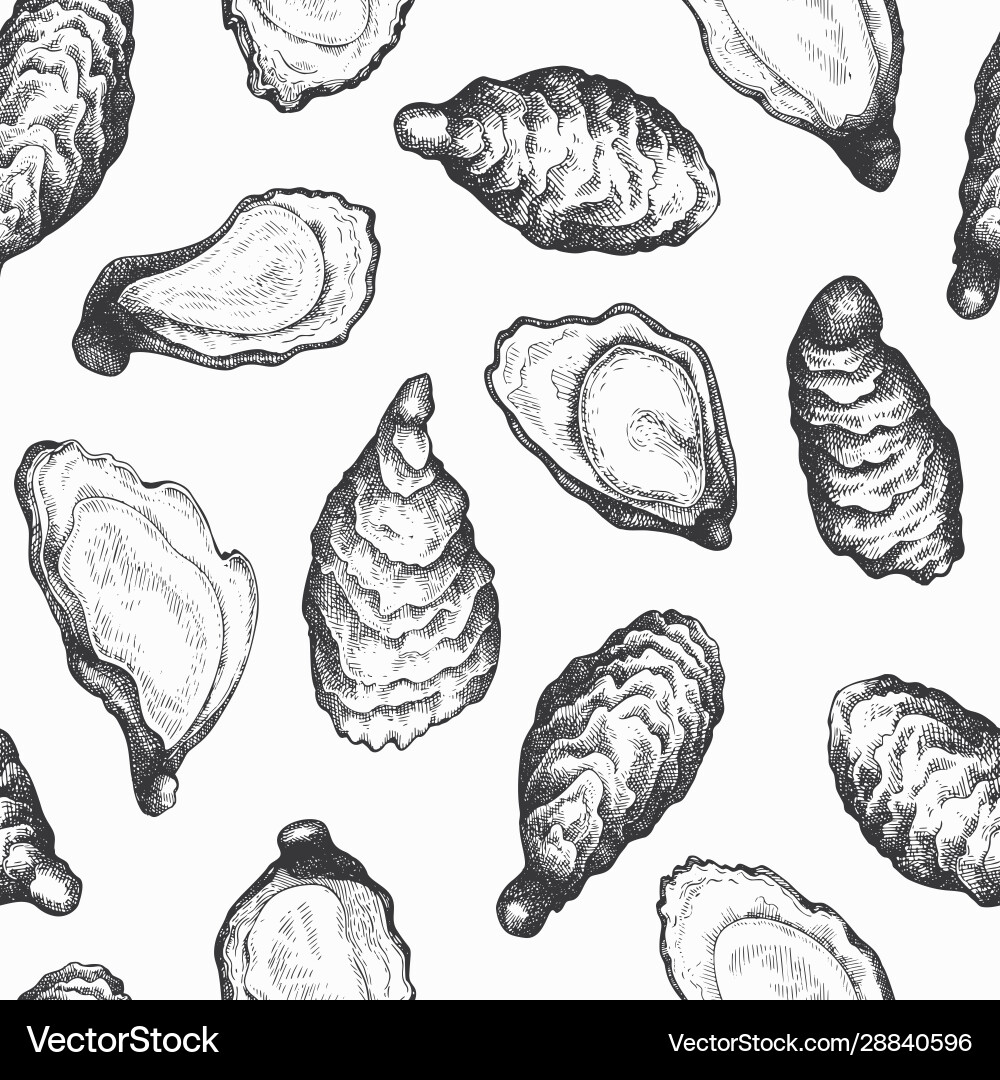 Oysters seamless pattern hand drawn seafood vector image