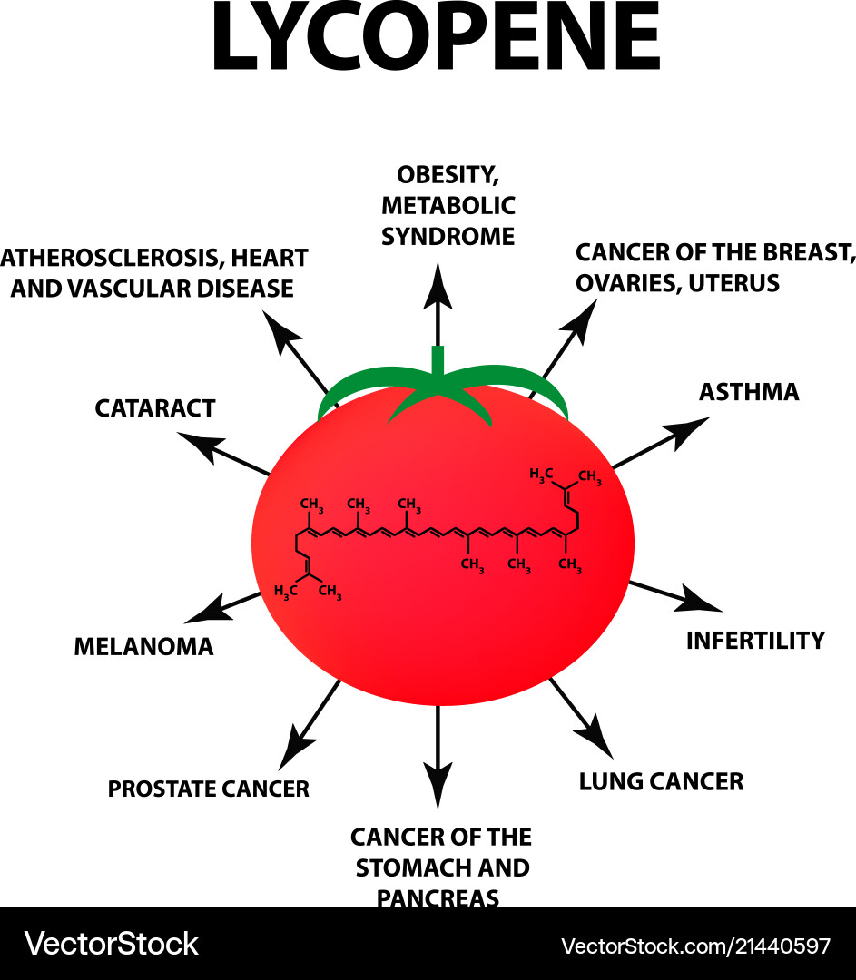 https://cdn.vectorstock.com/i/1000v/05/97/lycopene-tomato-health-benefits-vector-21440597.jpg