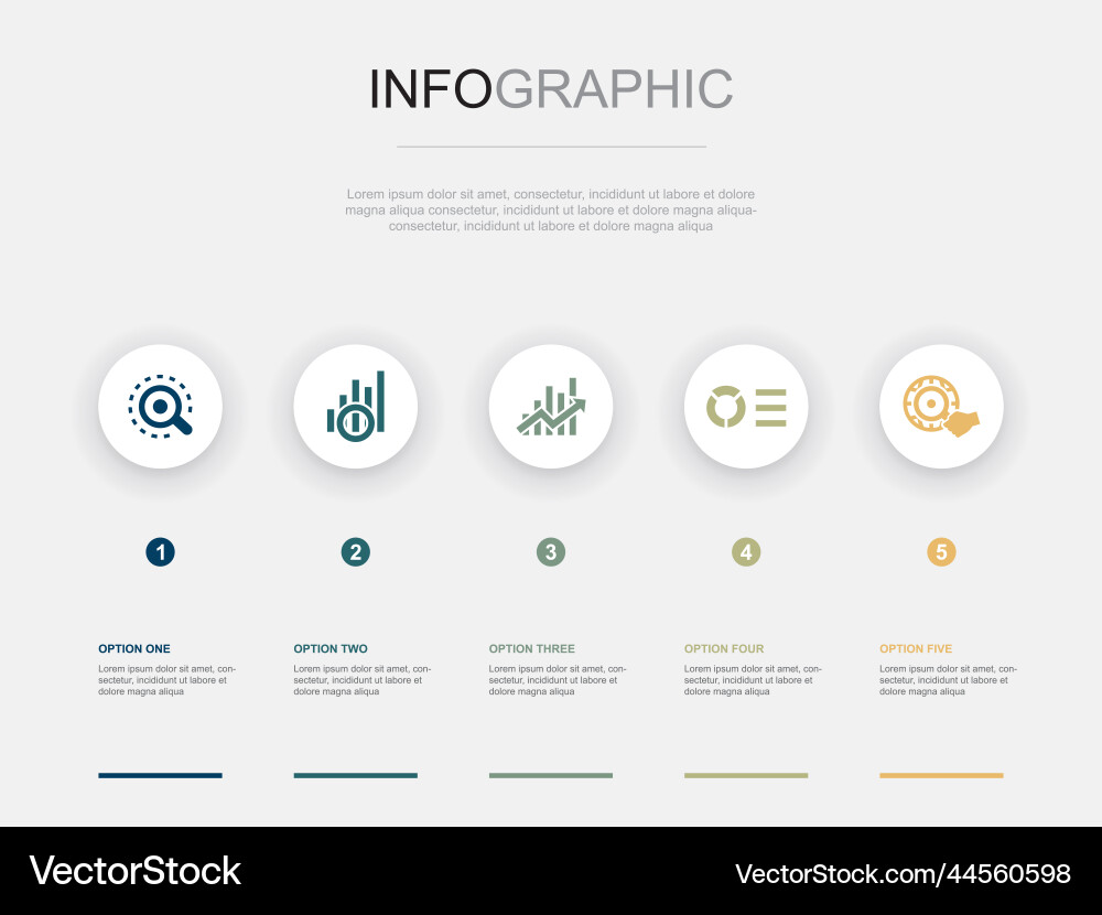 Data Insights Chart - Linear Graph vector image