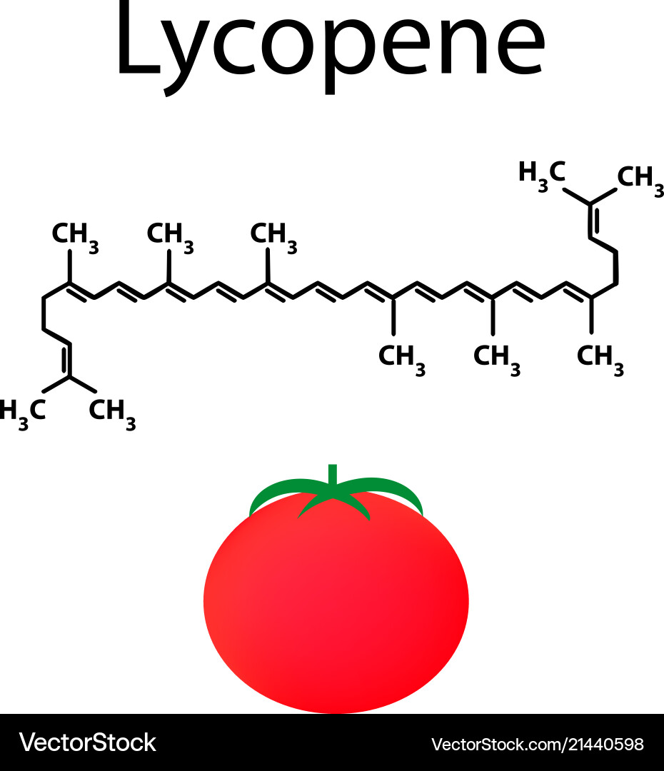 Lycopene is a chemical molecular formula tomato Lycopene is a chemical molecular formula tomato vector image