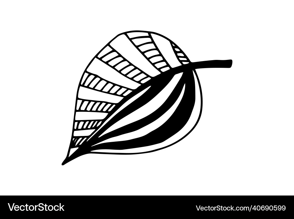 Abstract leaves and flowers doodle set Abstract leaves and flowers doodle set vector image