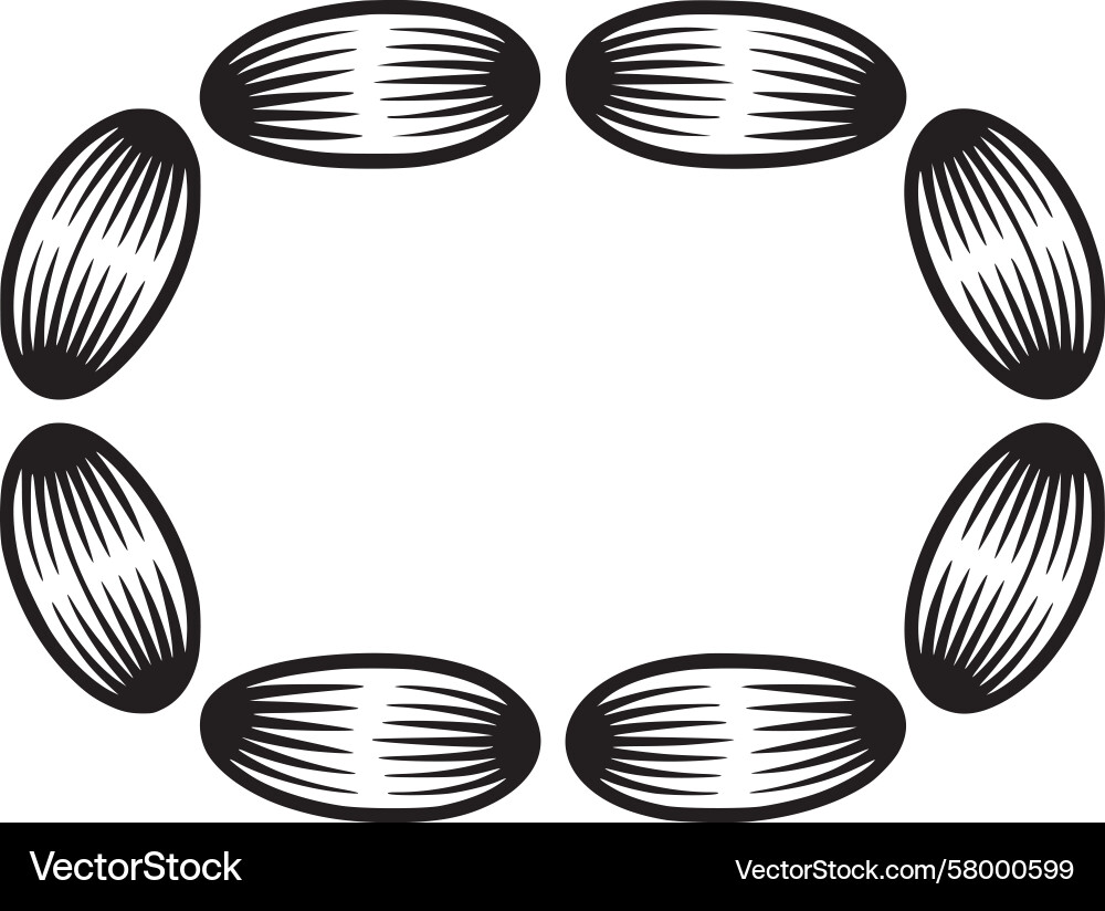 Dynamic Circle Pattern Vector Image